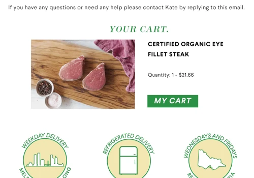 Klaviyo Email Design