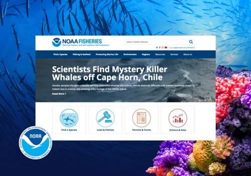 NOAA Fisheries Web Modernization