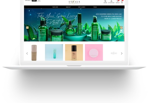 Ecommerce Website Development