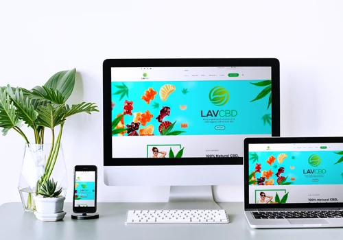 Designers that can help build your online store
