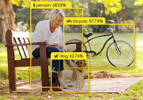 General Object Detection API