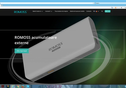 Website