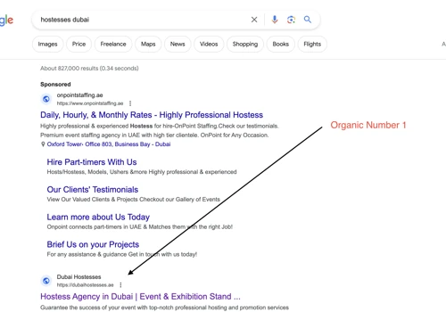 SEO Project