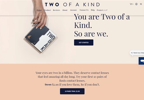 Two of a Kind: Custom Subscription Model
