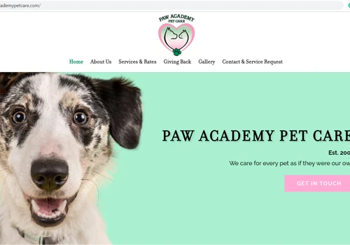 Website Design