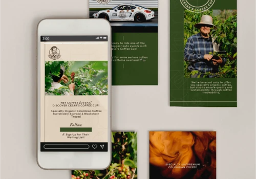 Creation of Visual Identity and web development
