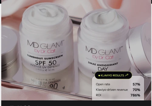 Skincare D2C Brand: Increased Email Revenue to 69%