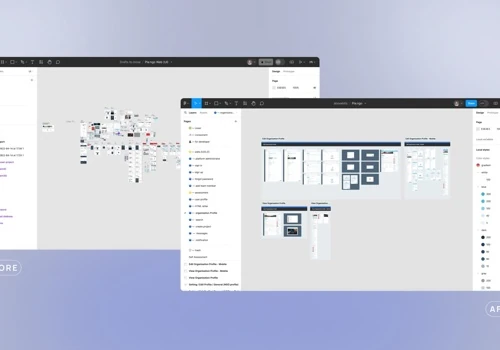 Pla:ngo — implementation of a modern SaaS solution