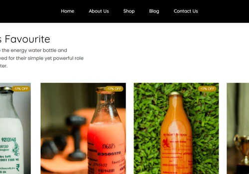 Website Design