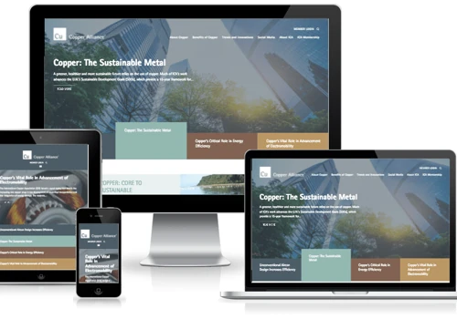 Website Overhaul for a Global Advocacy Group