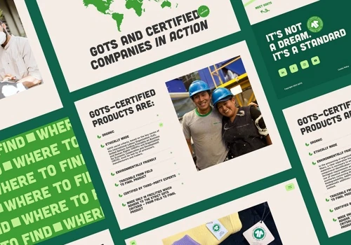 storytelling website for GOTS