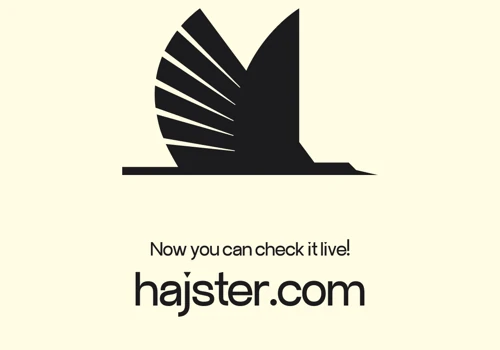 Landing page for Hajster