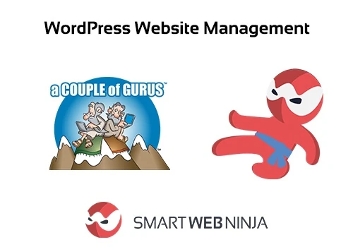Website Build and Ongoing Management & Maintenance