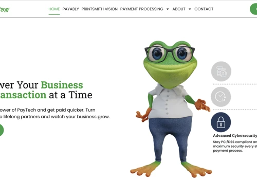 Web & Mobile Development Payment Platform