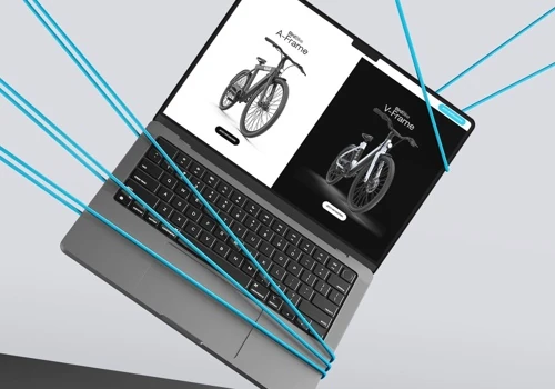 Bird Bike Shopify Shop