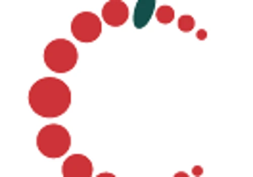 Cranberry Technologie is an IT services company led by a team of experts in IT