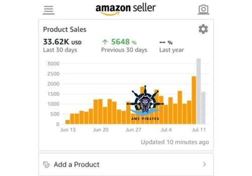Amazon Success Story: 33.62K Sales in 30 Days