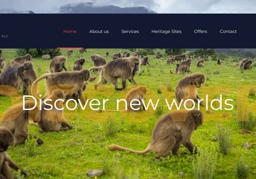 Adaa Trading Website Design and Development
