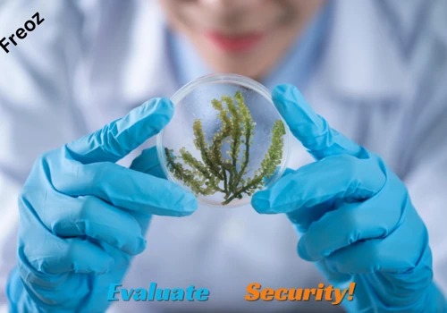 Elevate Healthcare Security