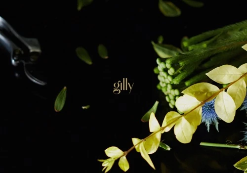 Gilly Flowers
