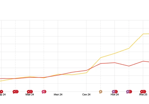 SEO: 109K Visits & +176% Revenue Growth