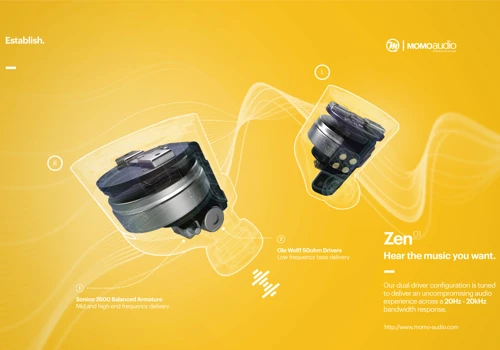 Momo Audio - Electronic Development