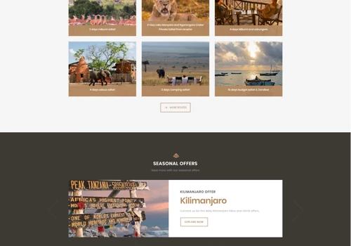 The insight Tanzania Safaris
