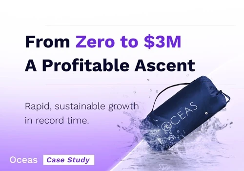 From $0 to $3M with Market-Leading Profitability