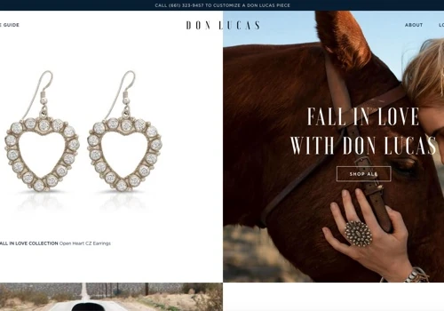 Don Lucas Shopify Store