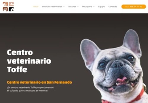 Diseño web y SEO