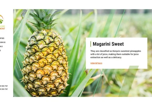 Land in Malindi Website