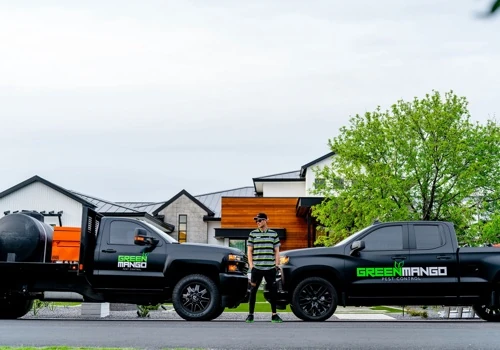 Green Mango Pest Control