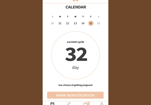 LadyDays Calendar and Shop