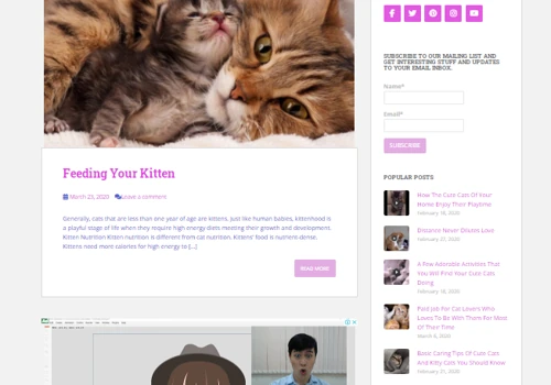 The Cute Cats