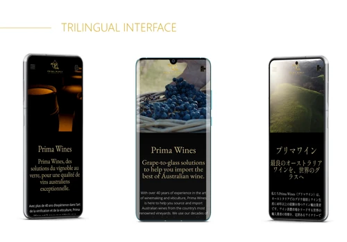 Multilingual Luxury Design Website