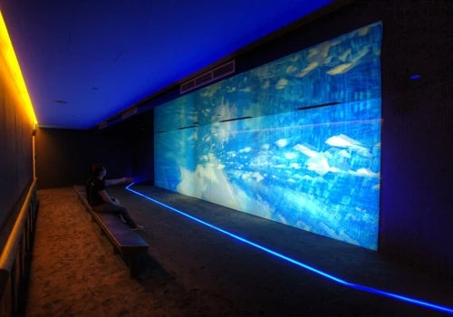 NCS SURF GALLERY