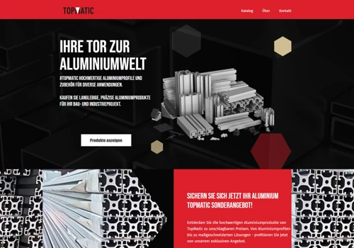 TopMatic e.U Website and SEO