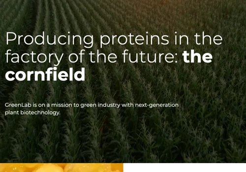 MVP Website development for agrotech start-up