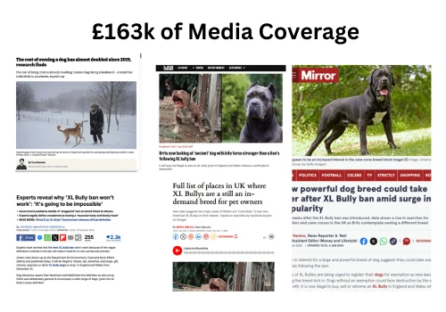 921% ROI Over 2 Years | £163k of Media Coverage