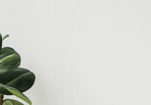 Lawyers on Demand website with Django and Wagtail
