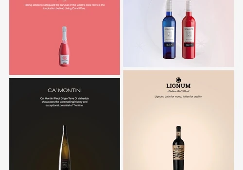 Enovation Brand | Innovative Wine Spirits Importer