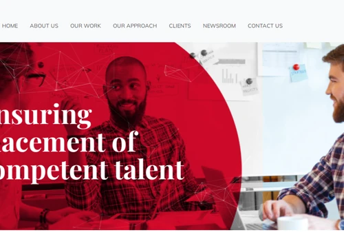 Hibiscus Vision Interactive Website