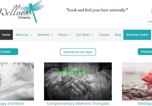 The Relaxing Wellness Company