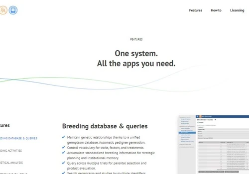 Web Platform