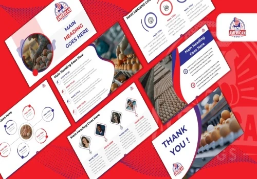 American Eggs Industry Presentation