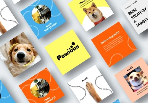 Pawious: Increasing brand in the US market