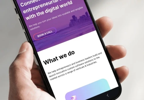 Dims.io: Web development & design