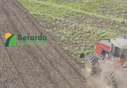 Agro: Crecimiento y optimización de recursos
