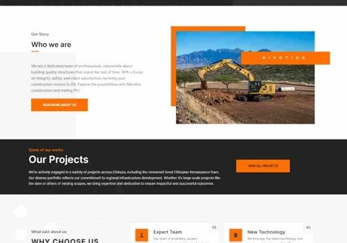 website development and logo design for Nikotika