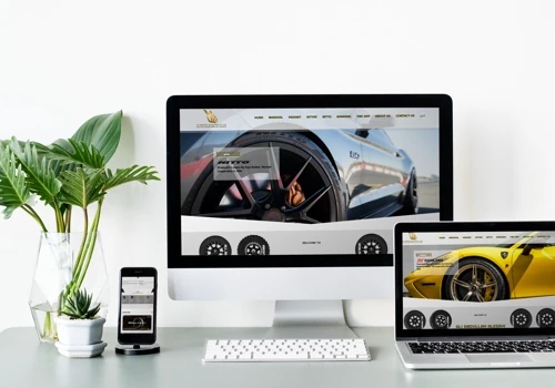Website Development